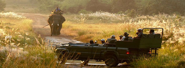 715/Taj Mahua Kothi Bandhavgarh National Park - Umaria 15.jpg